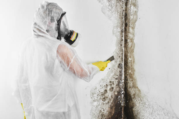 Crawl Space Mold Removal in Bladenboro, NC