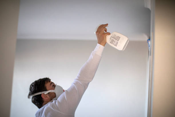 Best Mold Removal Company Near Me  in Bladenboro, NC