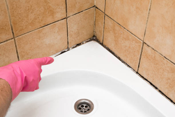 Best Mold Removal Process  in Bladenboro, NC